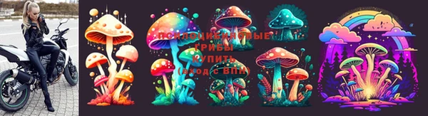 винт Новозыбков