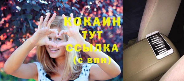 соль ск Пестово