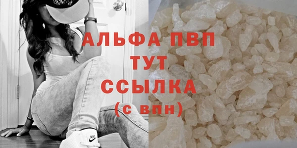 винт Новозыбков