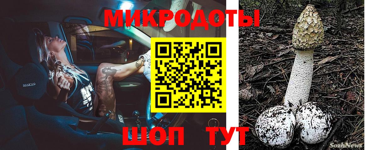 Псилоцибиновые грибы MAGIC MUSHROOMS  Вход с VPN  Галлюциногенные грибы мухоморы  наркота  Заинск 